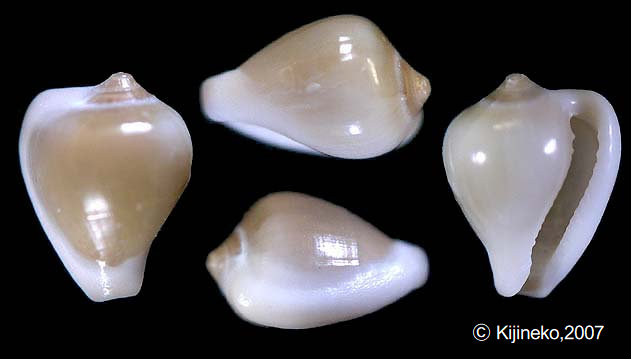 erato025001.jpg